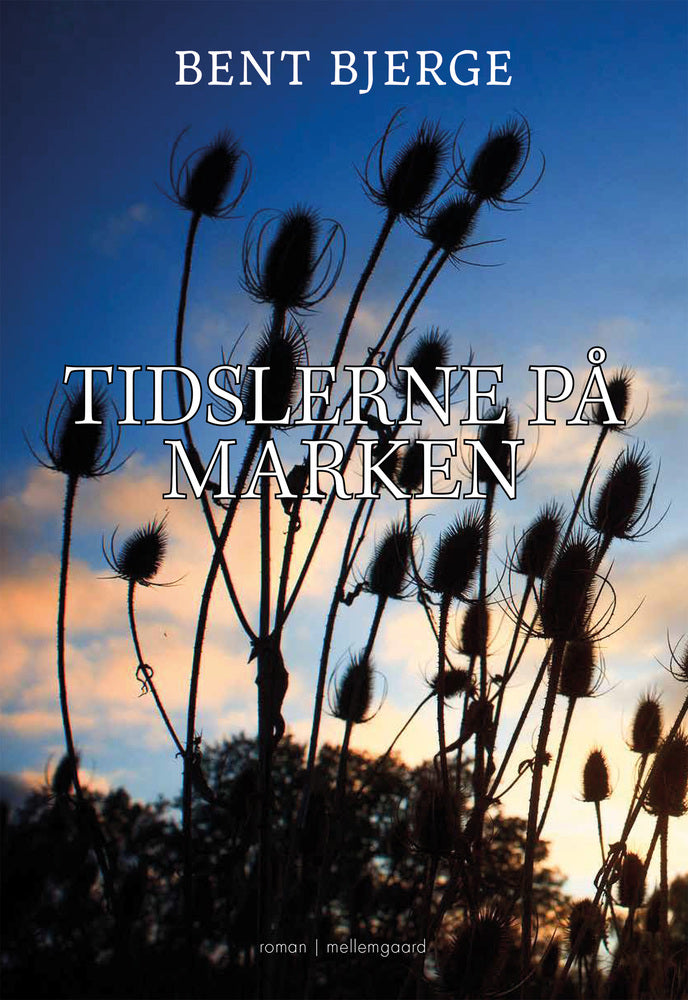 TIDSLERNE PÅ MARKEN