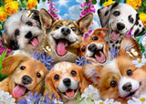 Puppies selfie Howard Robinson 1000 brikker