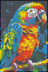 Diamond art papegøje 20 x 30 cm