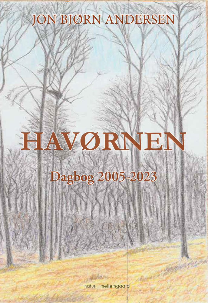 HAVØRNEN