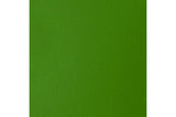 Basics 118Ml Light Green Permanent 312