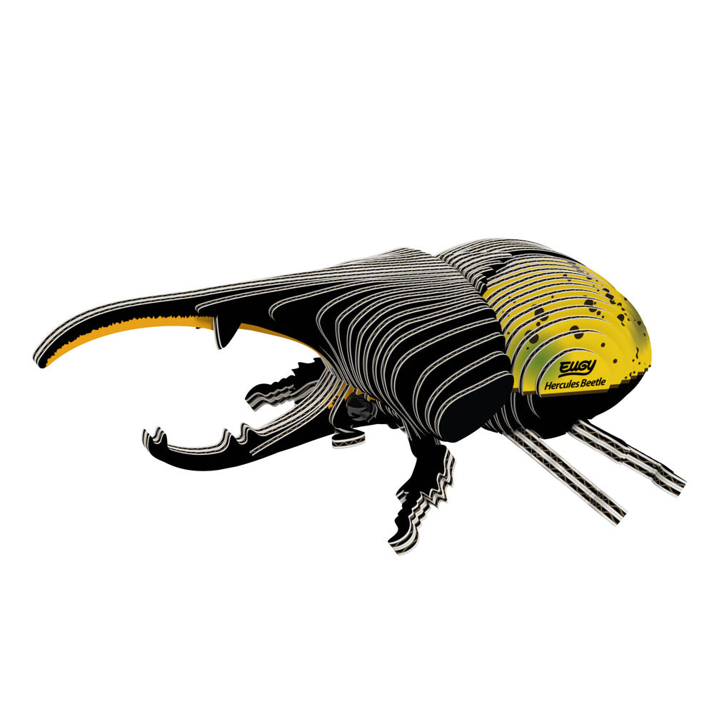 EUGY Hercules Beetle