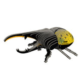 EUGY Hercules Beetle