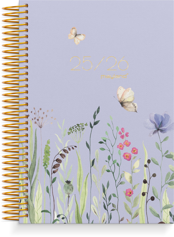 Mayland studiekalender 25/26 story stor 1 dag pr. side