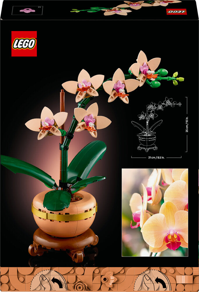 10343 LEGO Botanicals Mini-orkidé