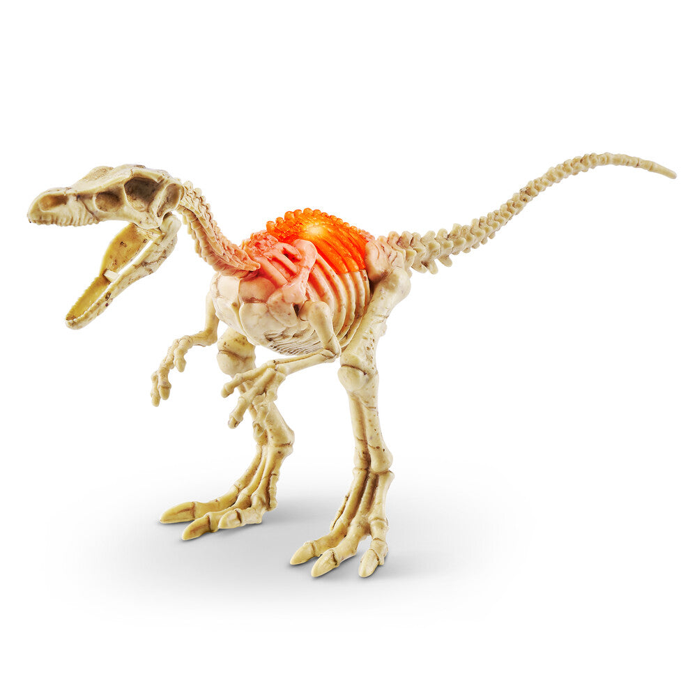 Robo Alive Dino fossil egg
