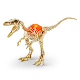 Robo Alive Dino fossil egg