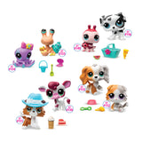LITTLEST PET SHOP PET PAIR ass