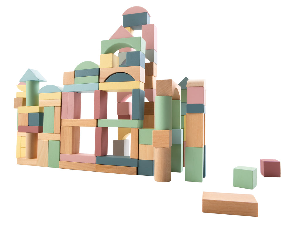 Kinder and Kids 100pcs blocks set