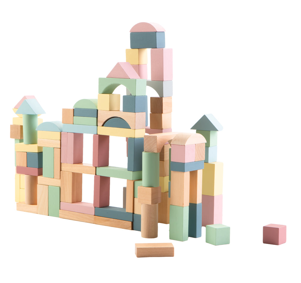 Kinder and Kids 100pcs blocks set