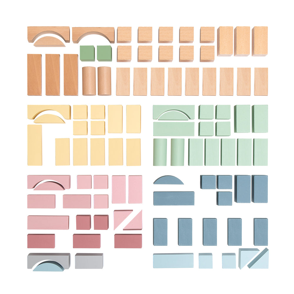 Kinder and Kids 100pcs blocks set