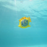 Rainbow Reef Fish - Zebrafisk