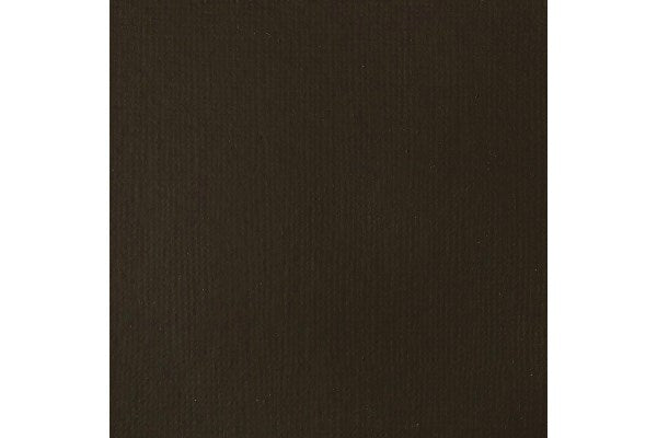 Basics 118Ml Raw Umber 331
