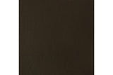 Basics 118Ml Raw Umber 331