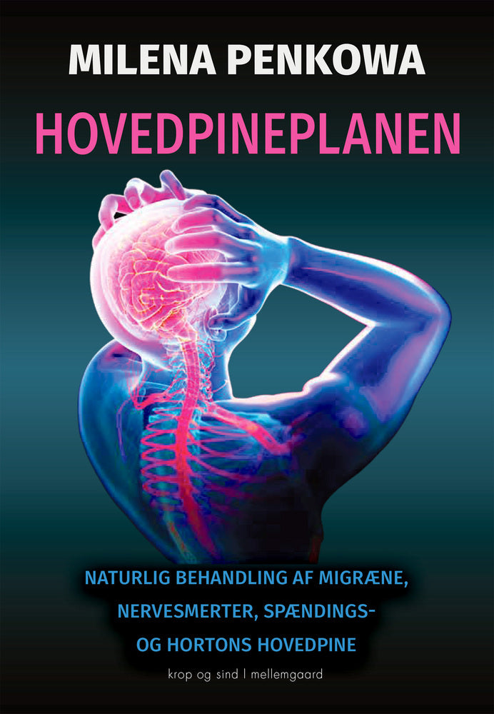 HOVEDPINEPLANEN