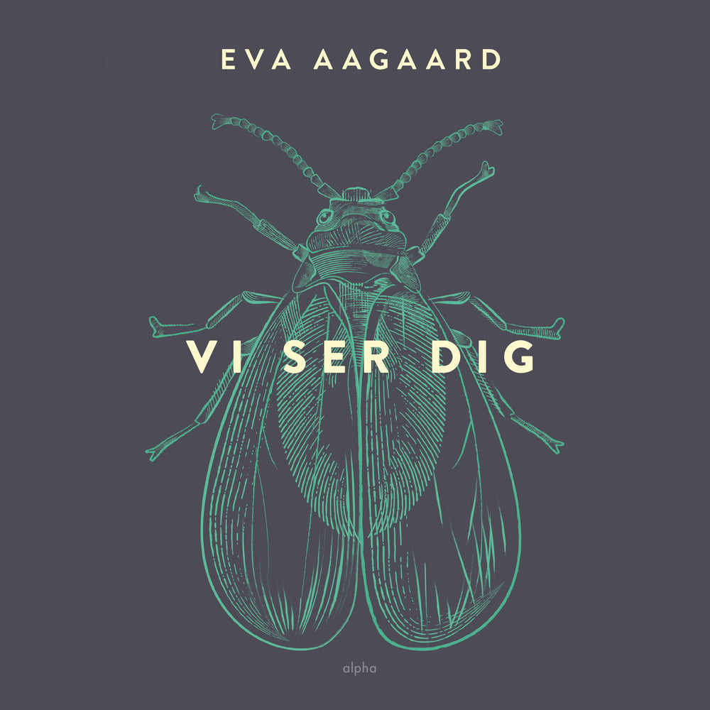 Vi ser dig