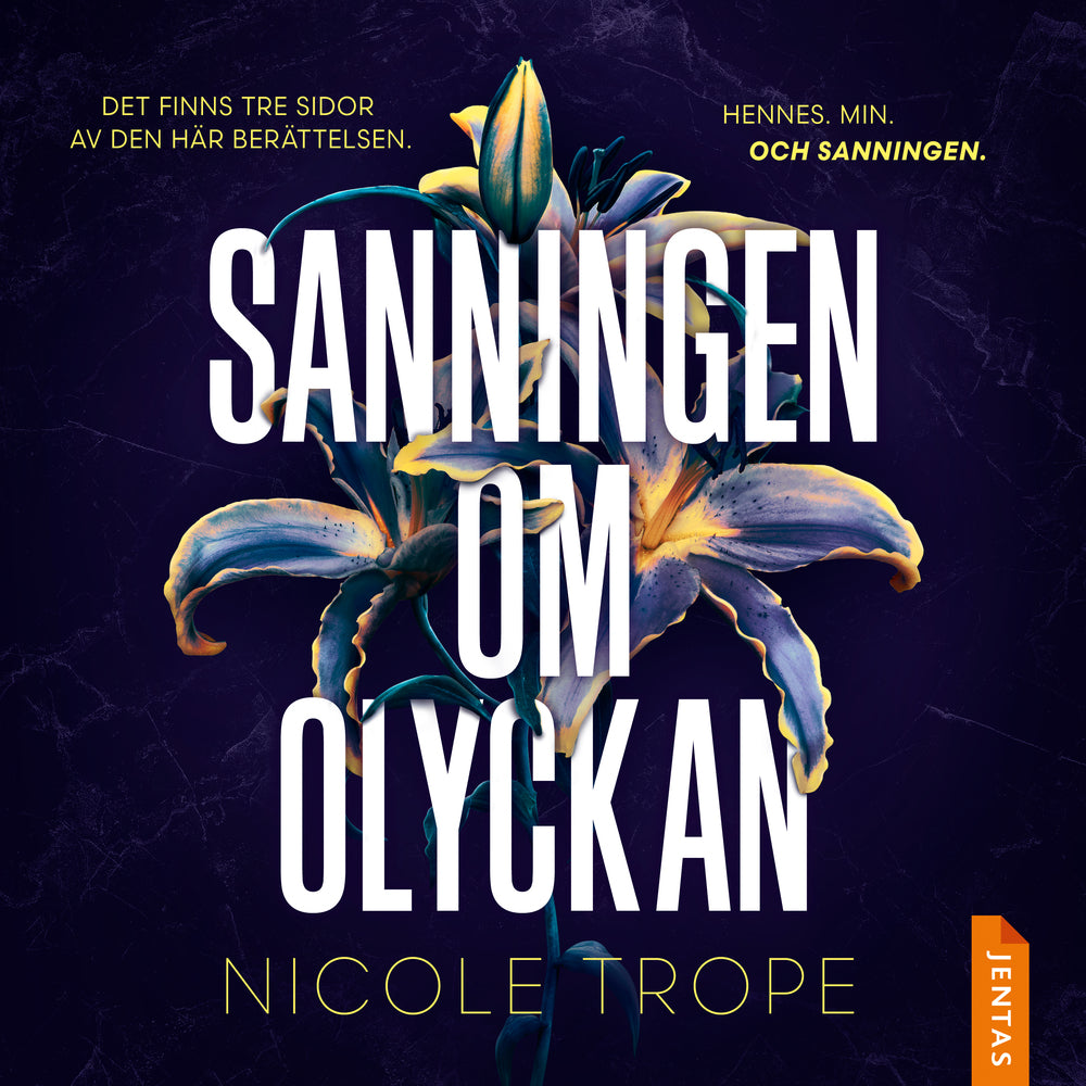 Sanningen om olyckan