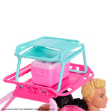 Barbie Mysteries Beach Buggy