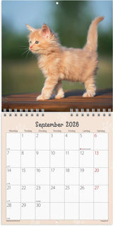 Vægkalender 2026 kattekillinger 16 x 16 cm