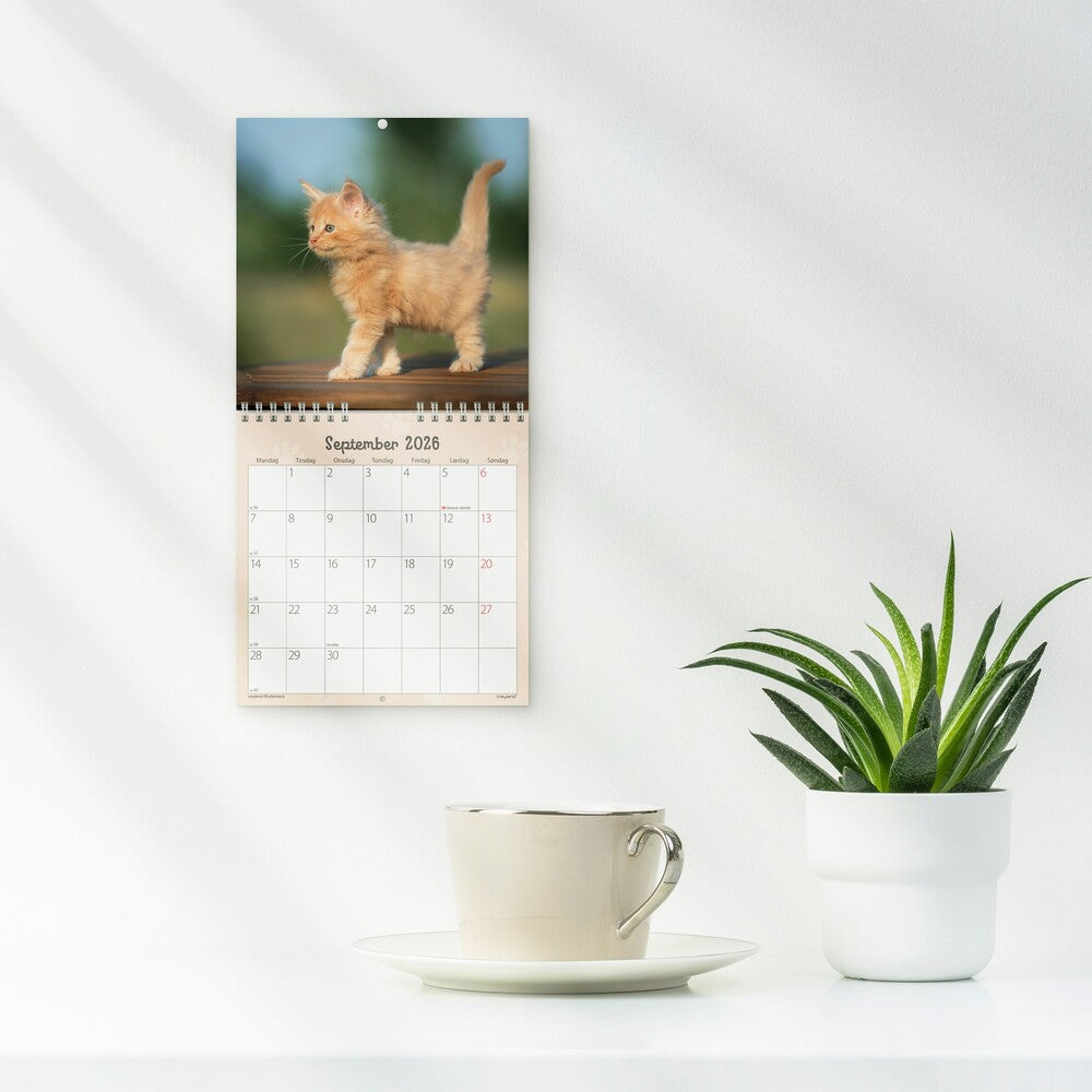 Vægkalender 2026 kattekillinger 16 x 16 cm