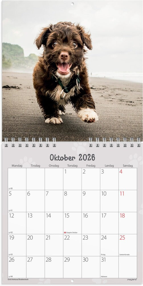 Vægkalender 2026 hundehvalpe 16 x 16 cm