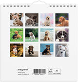 Vægkalender 2026 hundehvalpe 16 x 16 cm
