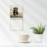 Vægkalender 2026 hundehvalpe 16 x 16 cm