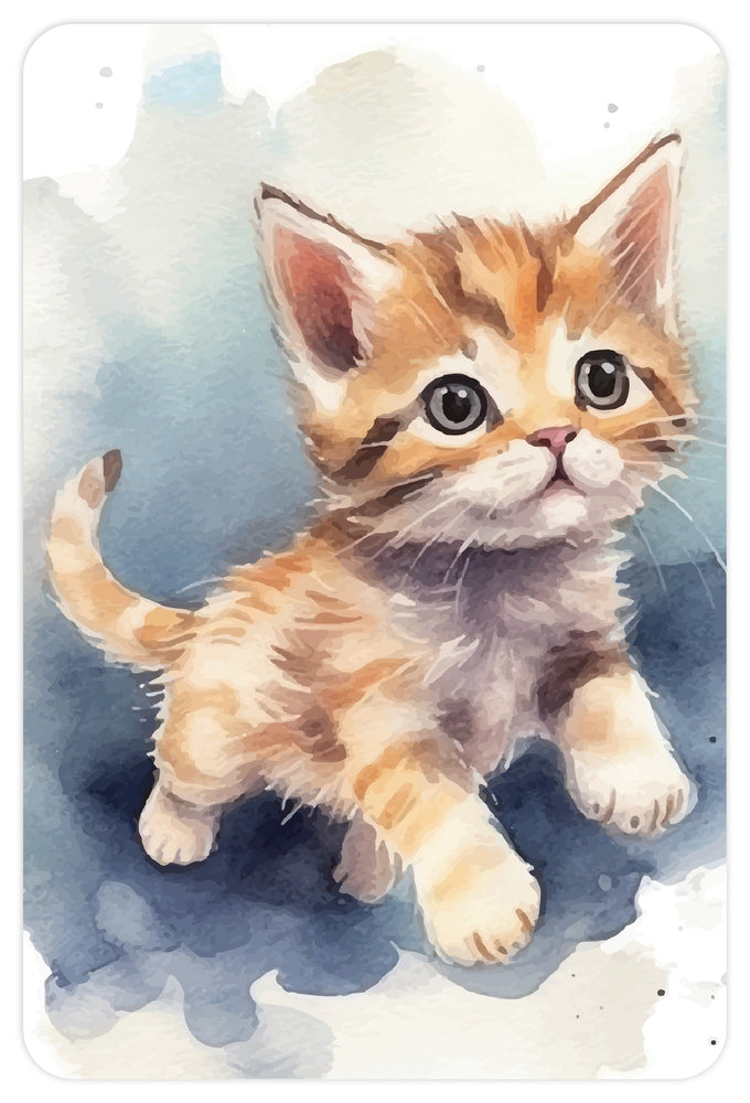 Diamond art kat 10 x 15 cm