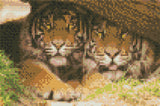 Diamond art tiger TRÆSTAMME 20 x 30 cm