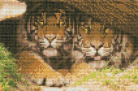 Diamond art tiger TRÆSTAMME 20 x 30 cm