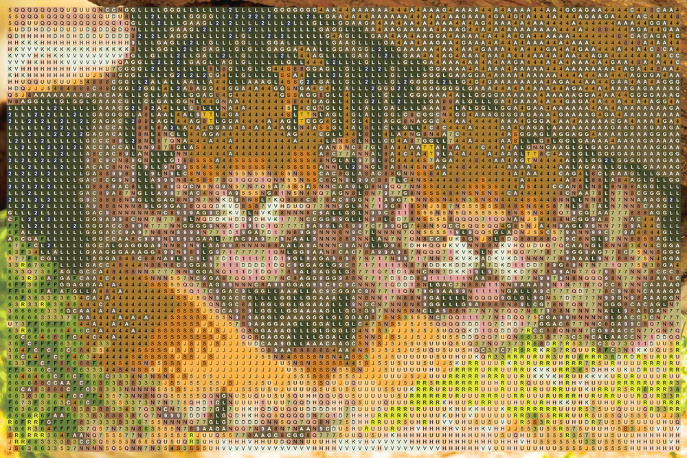 Diamond art tiger TRÆSTAMME 20 x 30 cm