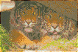 Diamond art tiger TRÆSTAMME 20 x 30 cm
