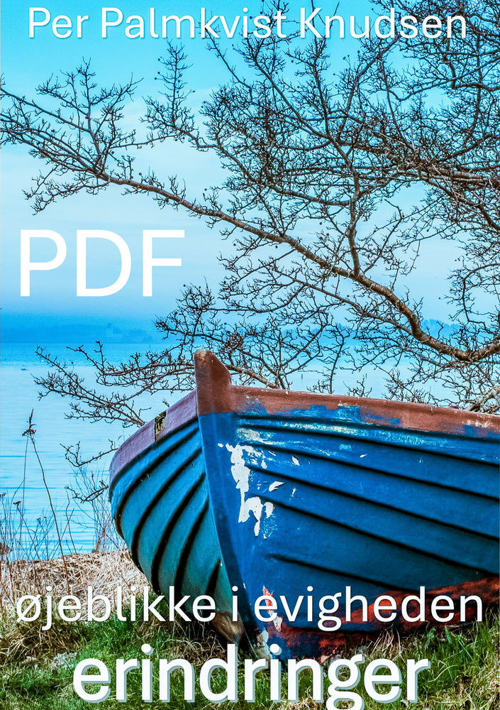 øjeblikke i evigheden  PDF