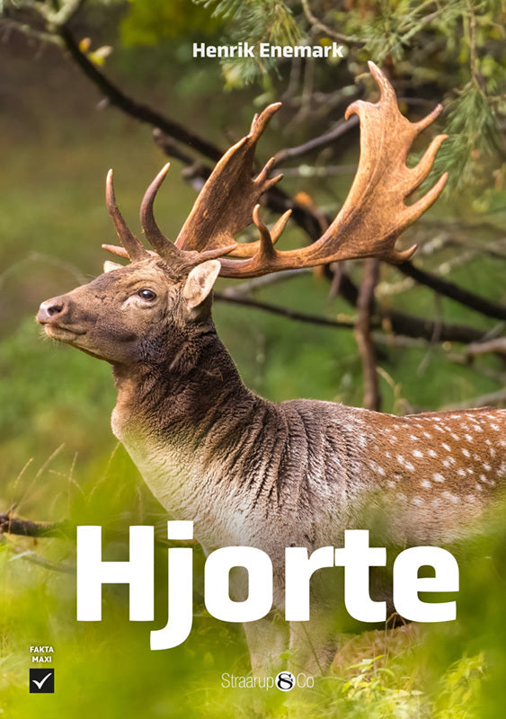 Hjorte