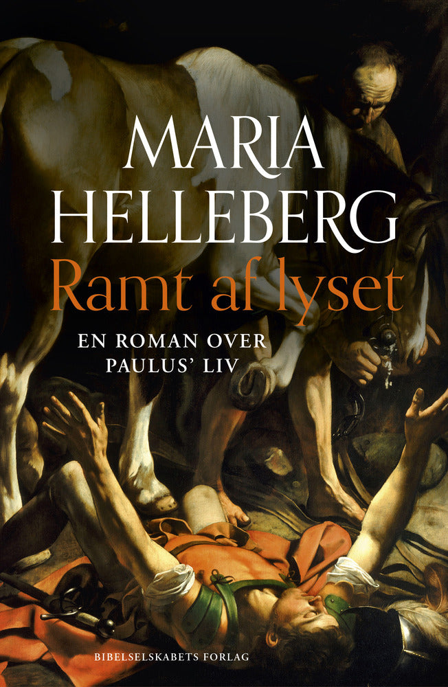 Ramt af lyset