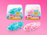 Pets Alive Axolotl ass