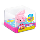 Pets Alive Axolotl ass