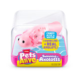 Pets Alive Axolotl ass