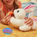 Pets Alive BUNNY