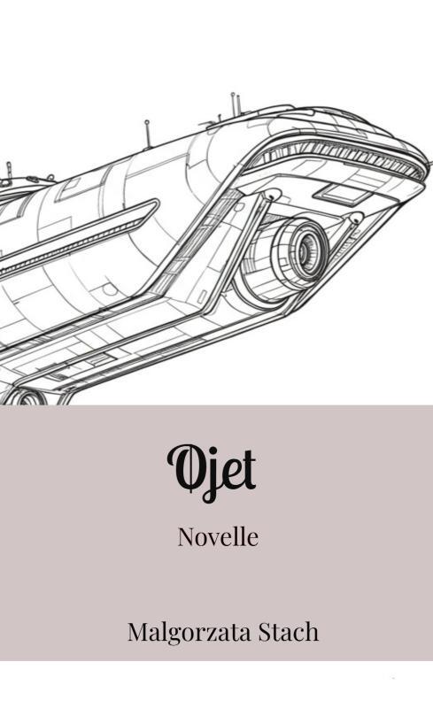 Øjet