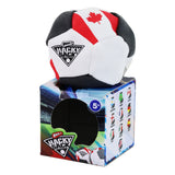 Hacky Sack World Cup Sortiment ass