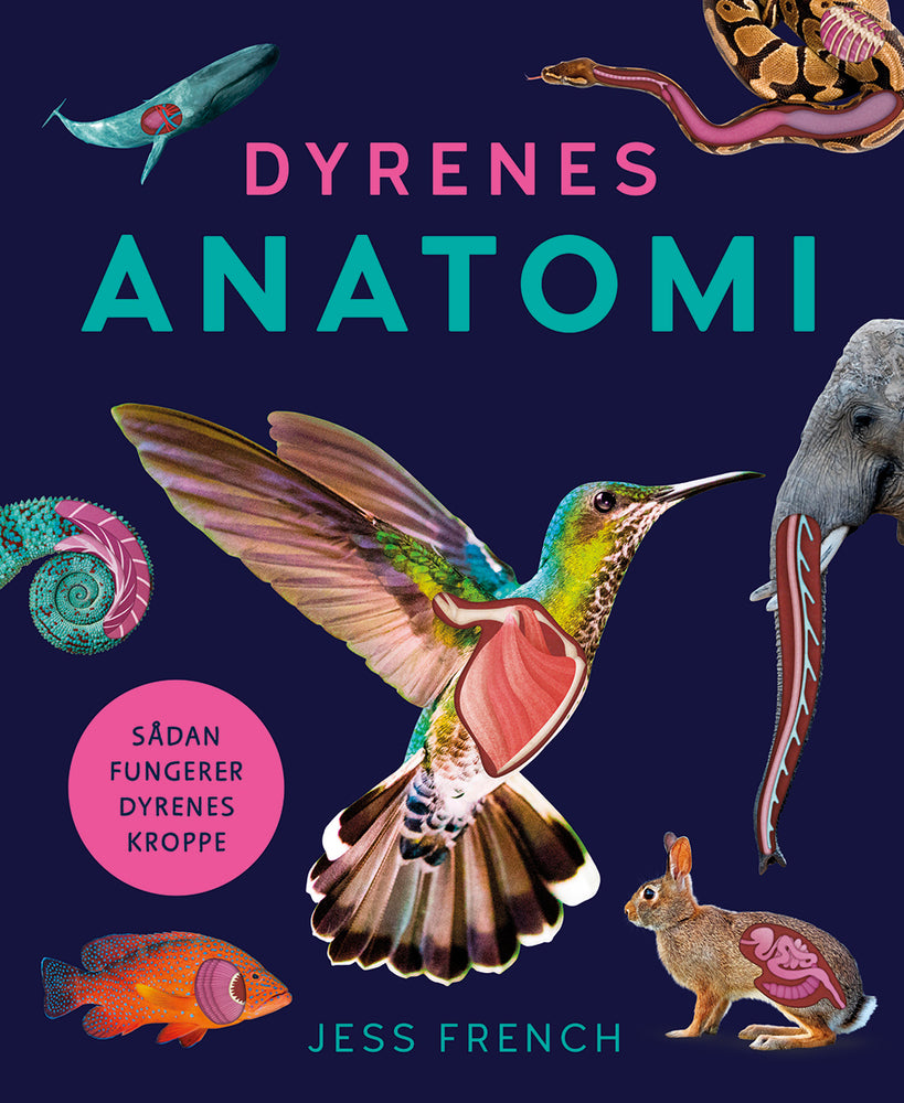 D1 Dyrenes anatomi