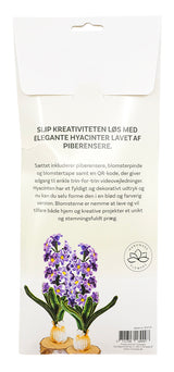 Piberenser Hyacinter lilla 1 stk