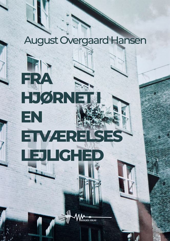 Fra hjørnet i en etværelses lejlighed