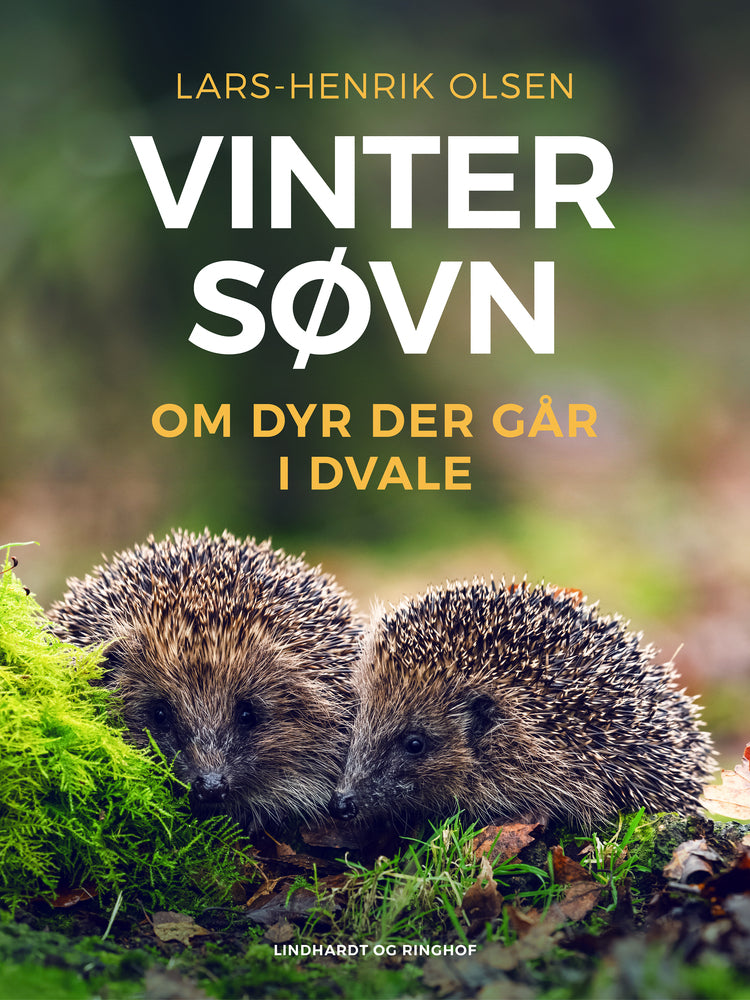 Vintersøvn – om dyr der går i dvale
