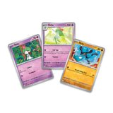 Pokemon Collector's Chest