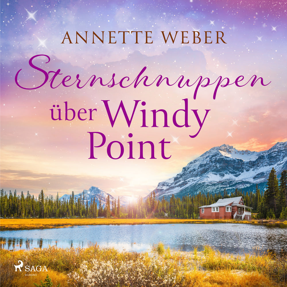 Sternschnuppen über Windy Point