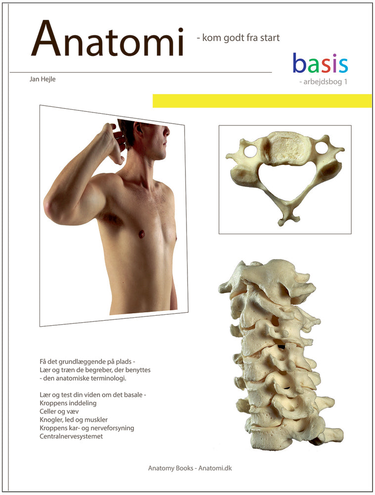D1 Anatomi - basis - Arbejdsbog 1