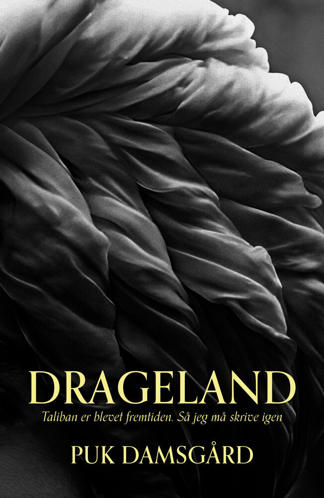 D2 Drageland