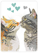 Diamond Art Katte 13X18Cm